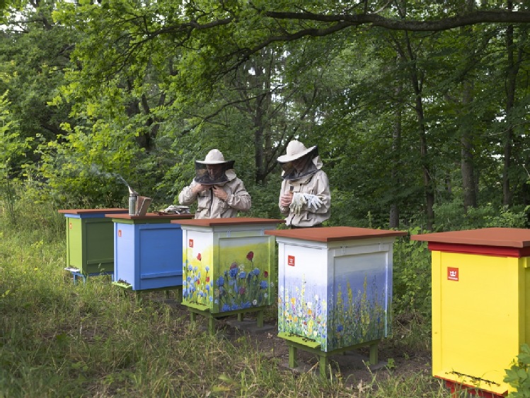 Interwencje w sektorze pszczelarskim od 2023r. dla  ARiMR